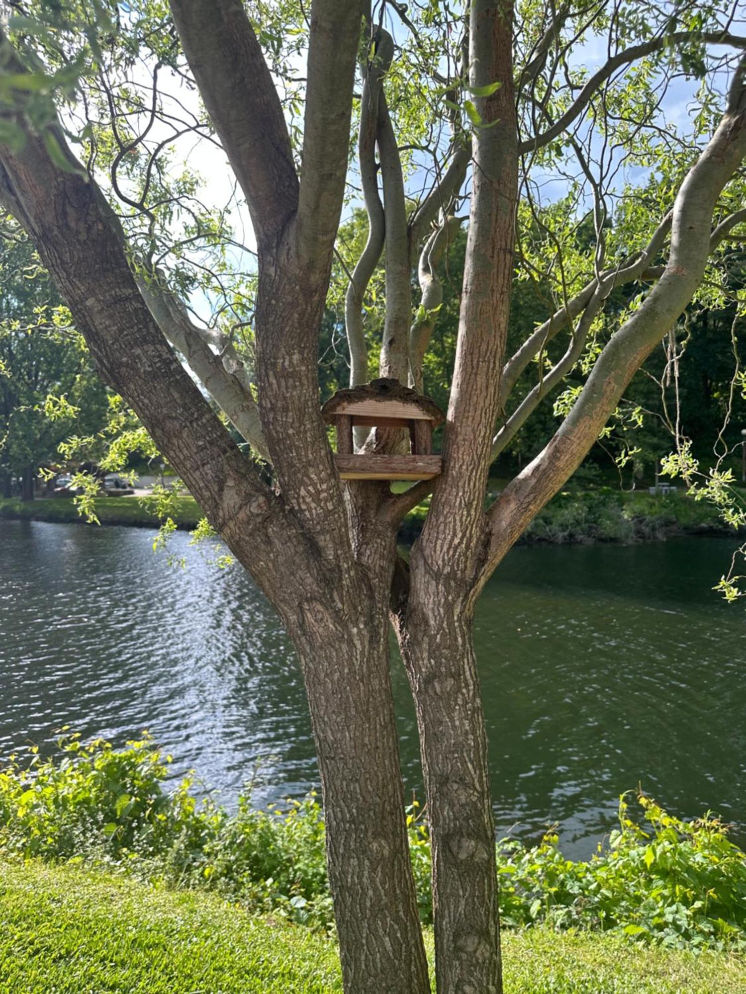 Nature E Spa Al - Termas Saude E Beleza, Totalmente Renovado - Piscinas Municipais Em Frente - Epoca Julho A Setembro São Pedro do Sul Exterior foto